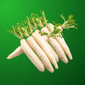 Radish